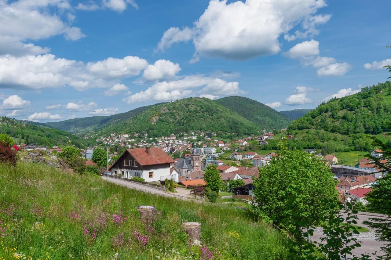 Apartament Le Planois La Bresse Zewnętrze zdjęcie